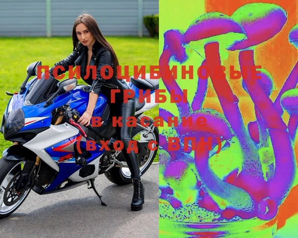 гидра Осинники